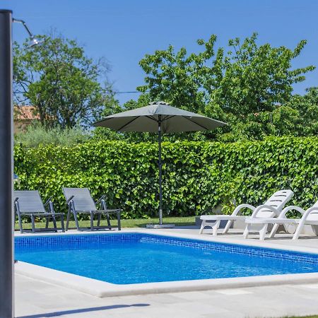 Holiday Home Villa Zirdum By Interhome Nova Vas  Exterior photo